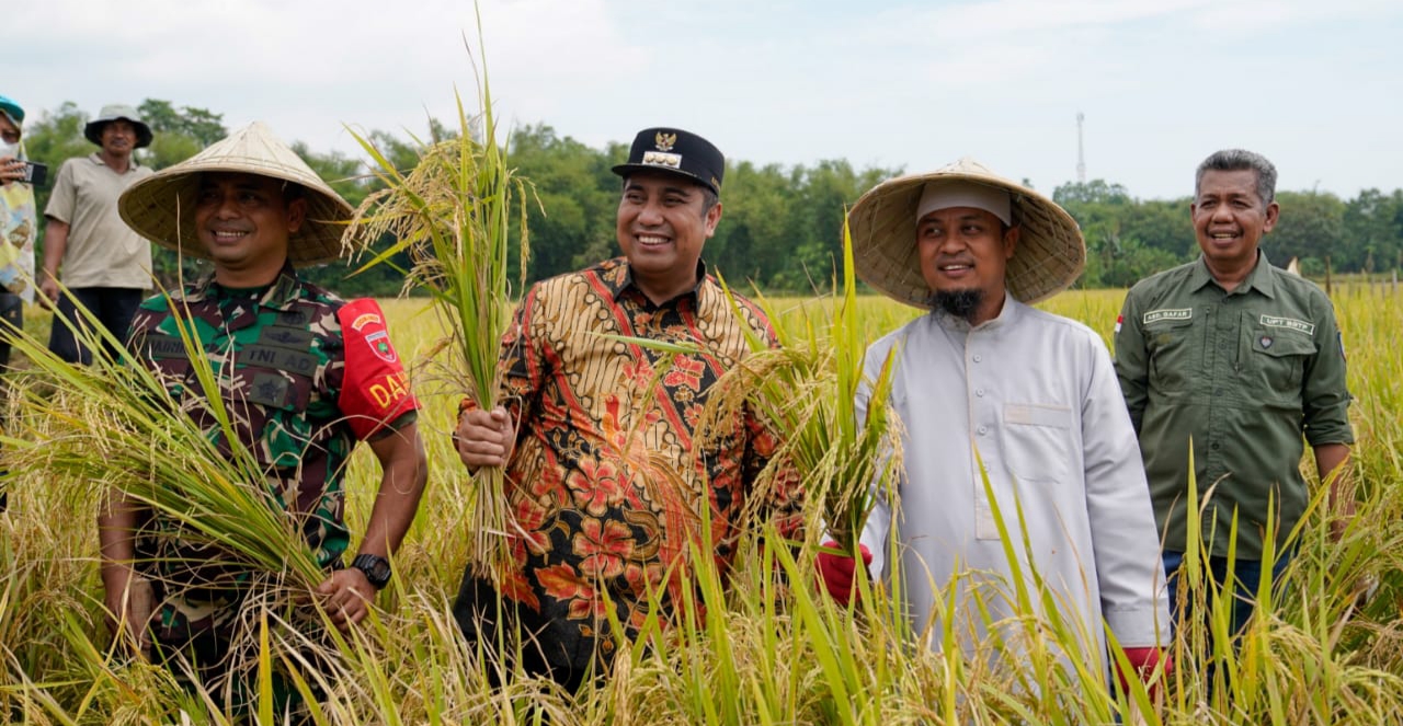 Perluas Mandiri Benih, Pemprov Sulsel Sasar Kentang dan Kakao untuk Kemandirian Pangan