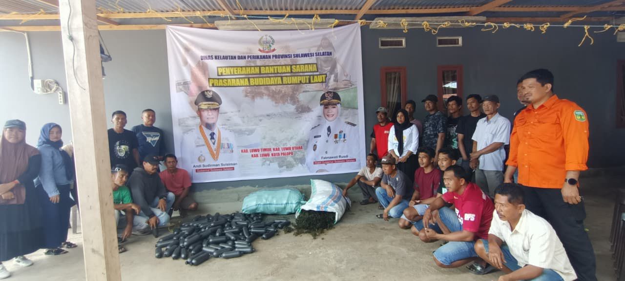 Pemprov Sulsel Perkuat Ekonomi Biru, 2.000 Paket Bibit Rumput Laut Disalurkan di Luwu Raya